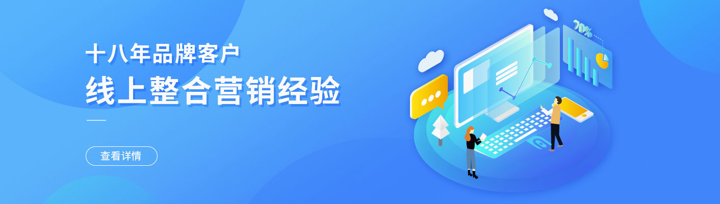 18年线上整合营销经验
